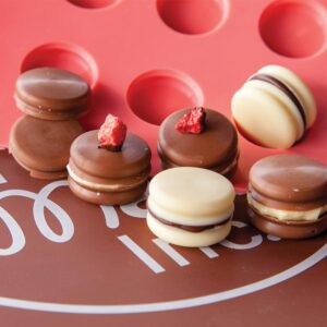 Molde para macarrones 54